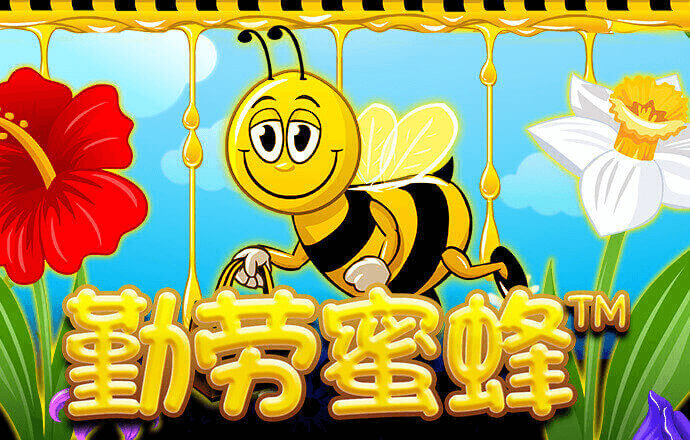 中欧体育kok官网